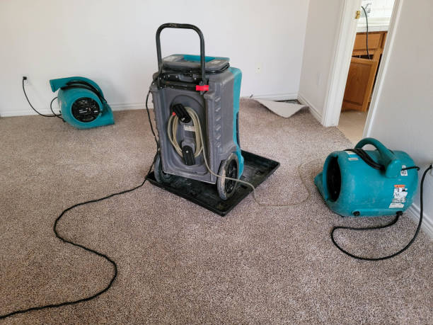 Best Ceiling water damage repair  in Osceola, IN