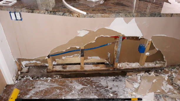 Best Flood restoration services  in Osceola, IN