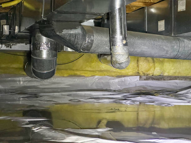 Best Fire Damage Restoration  in Osceola, IN