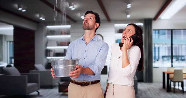 Best Water damage restoration company  in Osceola, IN