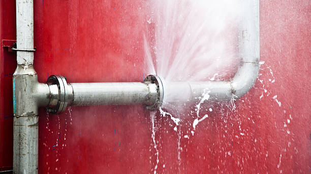 Best Professional water damage repair  in Osceola, IN